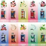 Elf Bar TE6000 5% Us Version Disposable Vape In Dubai best online shop