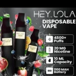 HEY-LOLA-Disposable-UK-BRAND-2-4500-Puffs-Vape-in-Dubai-UAE.webp