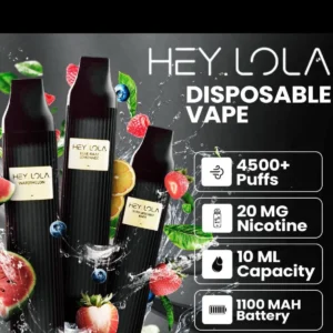 HEY-LOLA-Disposable-UK-BRAND-2-4500-Puffs-Vape-in-Dubai-UAE.webp