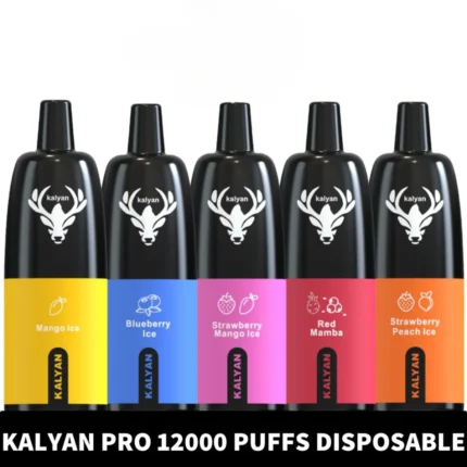 KALYAN-PRO-12000-PUFFS-DISPOSABLE-VAPE-IN-DUBAI.webp