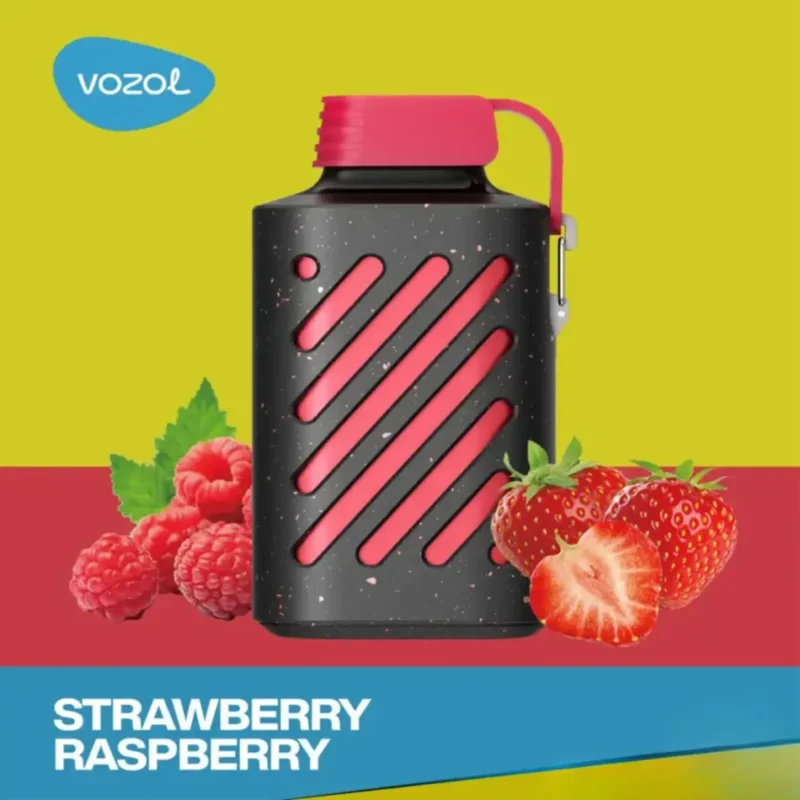 Vozol-Gear-10000-Strawberry-Raspberry